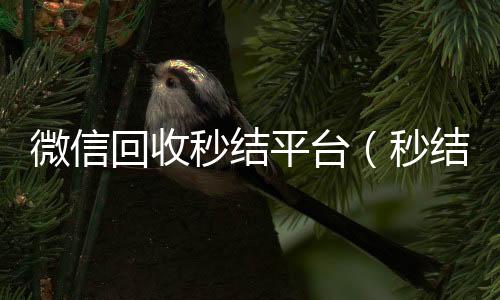 微信回收秒结高价收v平台（秒结款微信回收）